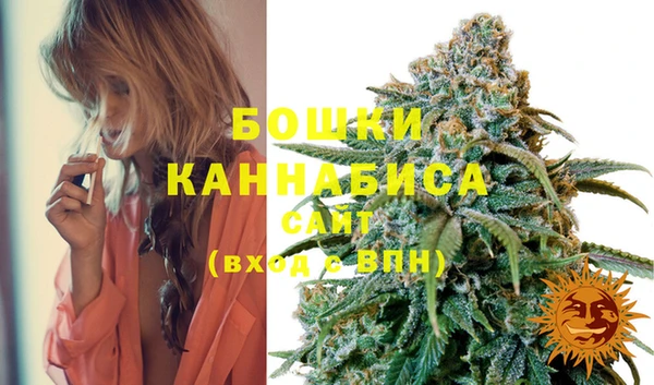 марки lsd Новозыбков
