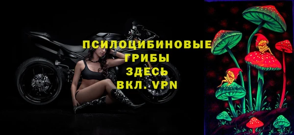 марки lsd Новозыбков