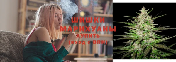 марки lsd Новозыбков
