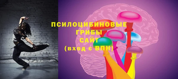 марки lsd Новозыбков