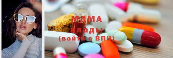 хмурый Белая Холуница